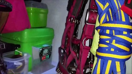 Follow me around - Unser erstes Turnier