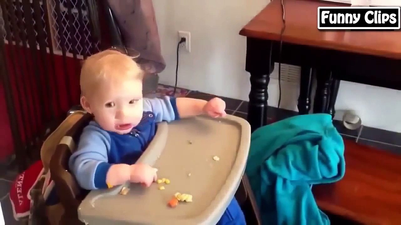 Funny video   Funny Animal   Funny babies Compilation the best 2015