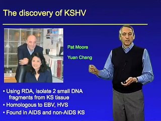 Don Ganem (Novartis Institutes for Biomedical Research) Part 2: The Virus