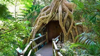 glow worm caves queensland