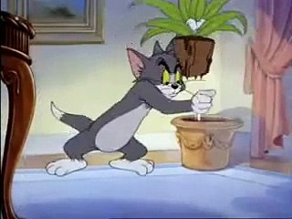 ‫كرتون توم و جيري Tom Jerry