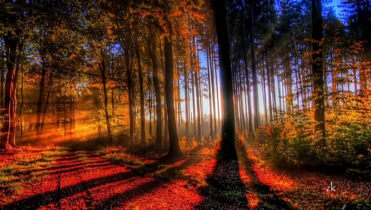 tanju okan - kime ne