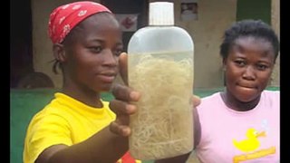 Guinea Worm Documentary