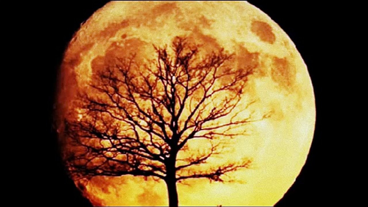 9 Synfonia  -  Finale  (Beethoven)