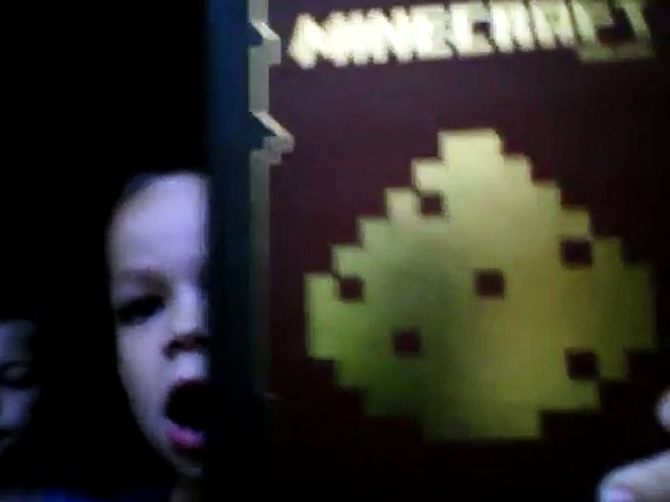 My Minecraft Books