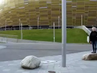 The Hawk From The Air To Catch The Dog