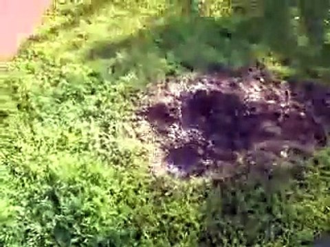 Creation Science Investigates: Proving Evolution didn't create the Grand Canyon.