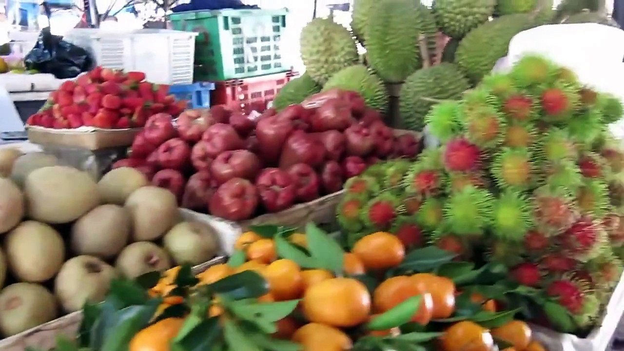 Hello Vietnam  Vinh Long, Hanoi, Ha Long Bay, Da Nang, Hoi An  | HAUSOFCOLOR