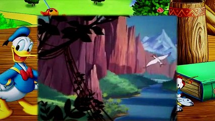 14  Donald Duck Clown of the Jungle 1947