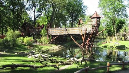 Zoom Zoo Erlebniswelt in Gelsenkirchen der Asienteil, the Asian part mit Urang Uta Roter Pande