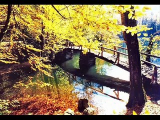 Karadeniz Resimleri