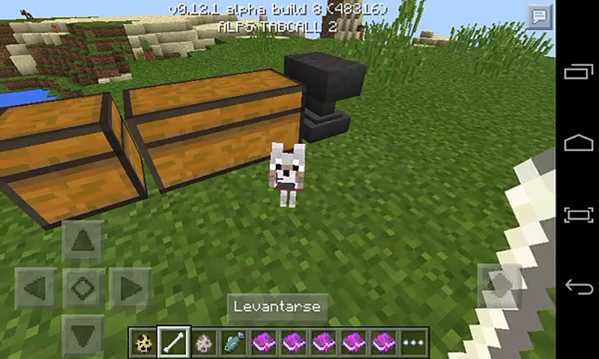 Ponerle Nombre A Un Animal En Minecraft Android