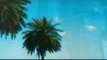 Jim Jones - Summer With Miami (feat) Tre