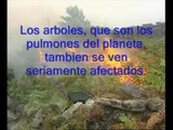 Contaminacion ambiental, calentamiento global y efecto invernadero