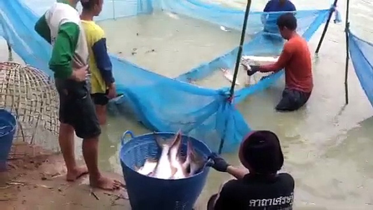 ขนปลาวันที่ 2 ครับ