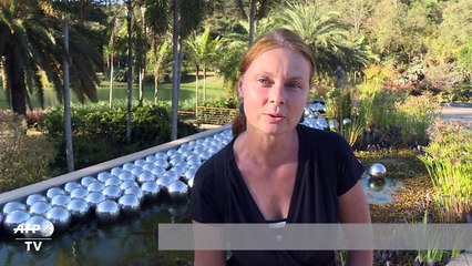 ملياردير يزرع الفن في غابة برازيلية