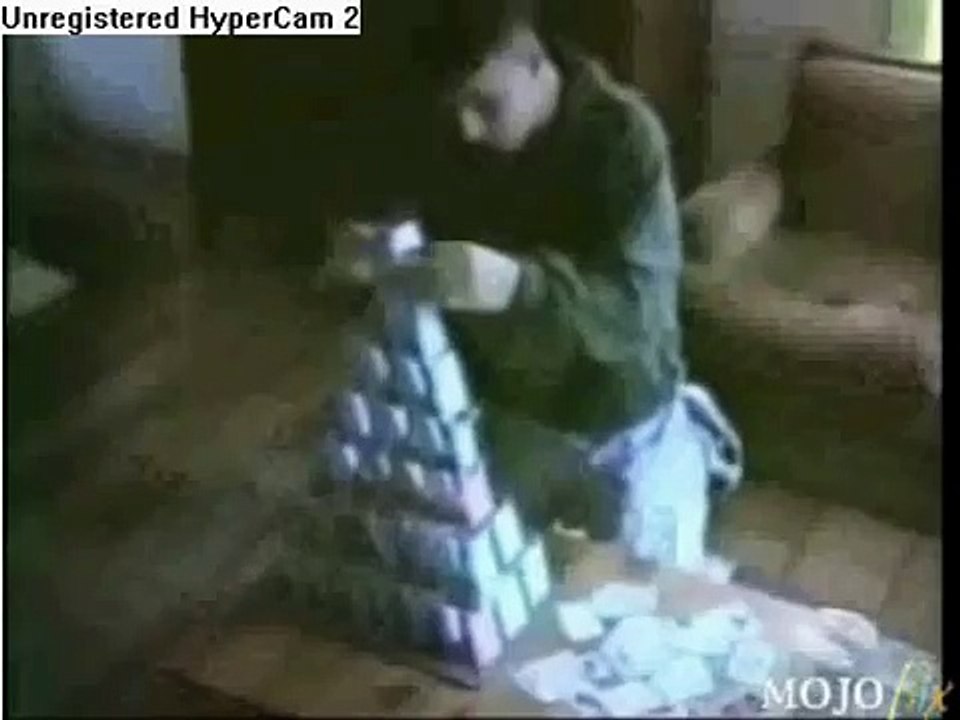 the funniest cat video you will ever see i hope