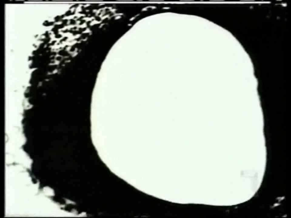 nWo 2nd Titantron (With Intro)