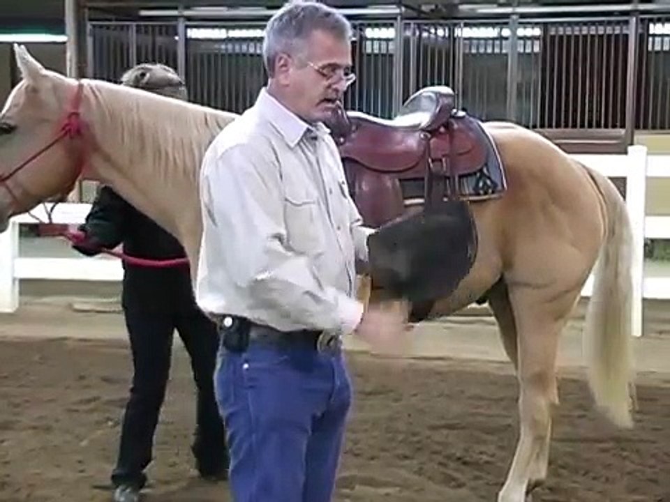 Fitting Horse Boots.mpg