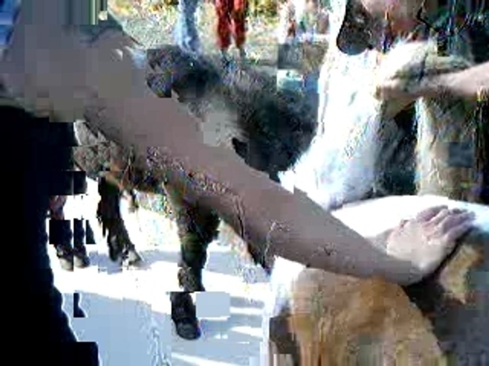 saillie roméo et alizée