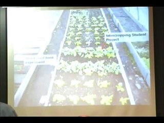 Dilmun Hill Student Organic Farm: Past, Present and Future 3-31-06