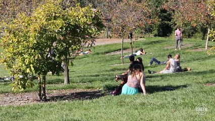 A Look Into Sexual Assault (Part 1) — Survivors Speak Out