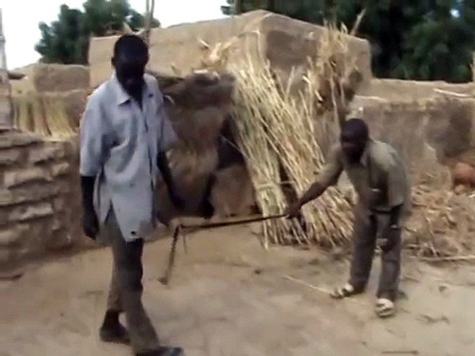 Latrine Construction