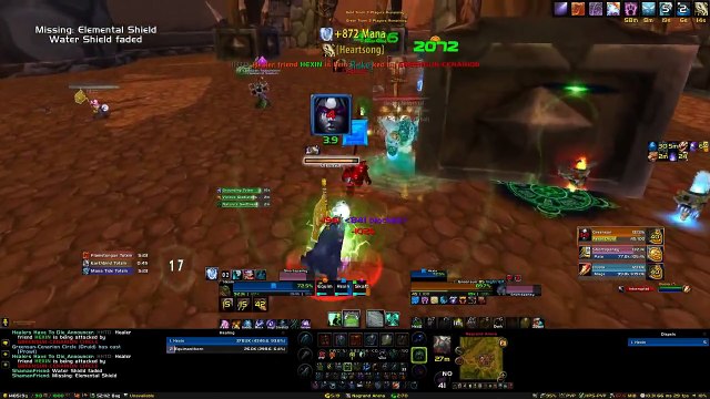 Arena PVP MashUp #2 - (Resto Shammy PoV) LSD vs. Feral/Pally/Mage