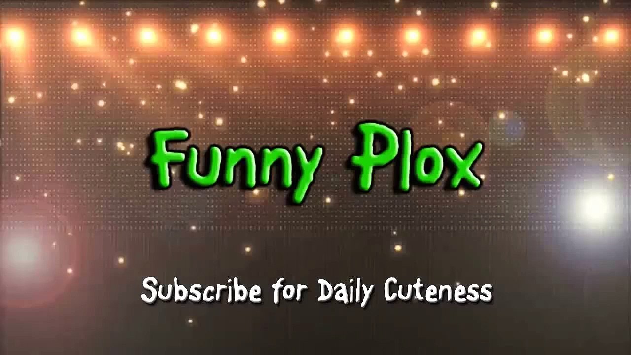 Funny Animals Slipping on Ice Compilation 2015 [NEW HD]