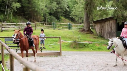 Riding & Farm - All inclusive Baby + Kinderhotel & Farm-Resort Habachklause