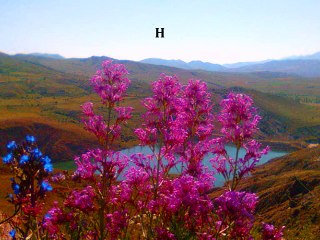 Adnan Zeki Bıyık Annem Bir Melek