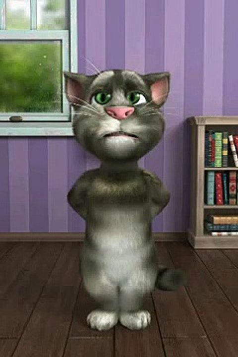 Talking Tom 2