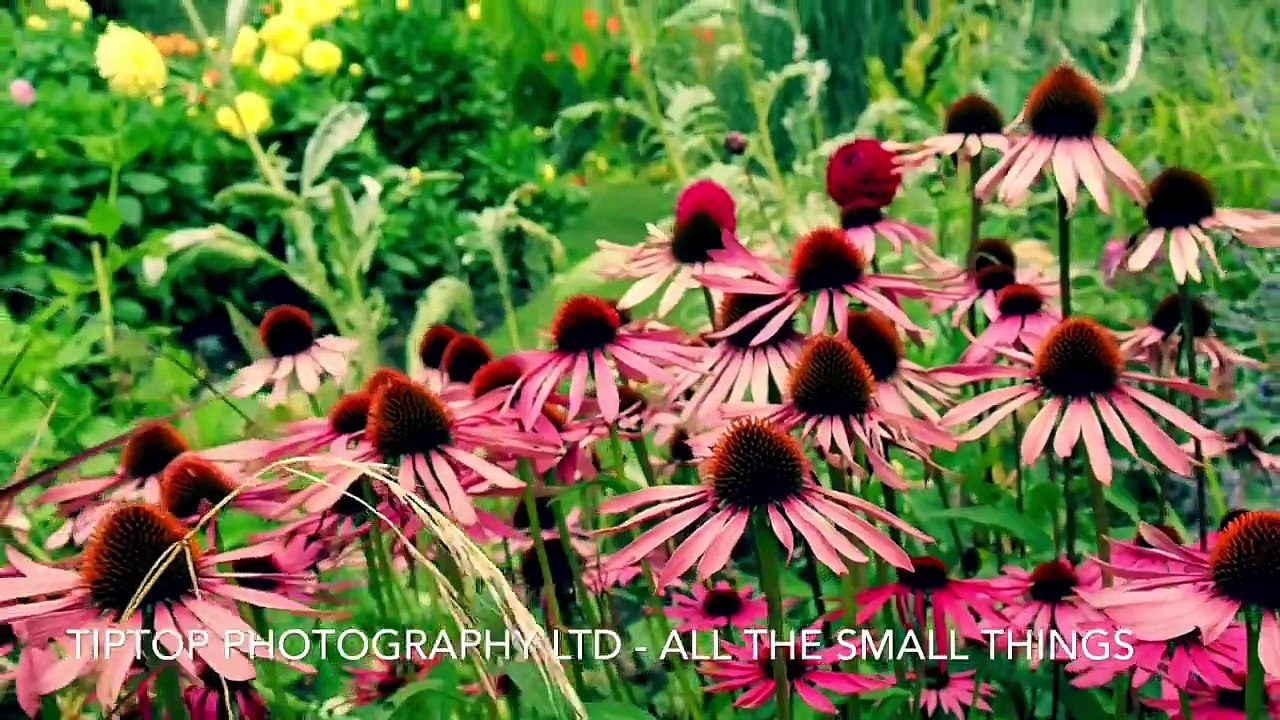 All the small things - Macro photography workshop
