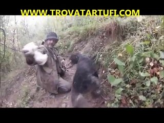 Tartufo bianco pregiato ad oltre un metro di profondità  SECONDA  PARTE