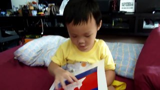 GLENN DOMAN - How teach your baby Flag of nations