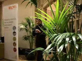 IDeA Strengthening Partnership Working Video Podcast