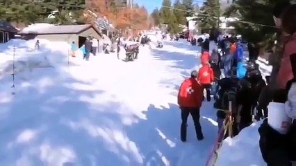 Funny Videos   Funny Fail   Funny Pranks   Best Fail Compilation 2015  Fail Compilation 2015