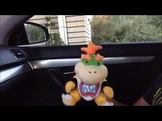 Sm145 Short:Bowsers gym problem