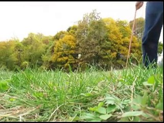 Draggin' Frankie:  Stephen DiRado walking his Jack Russell -- Extended version