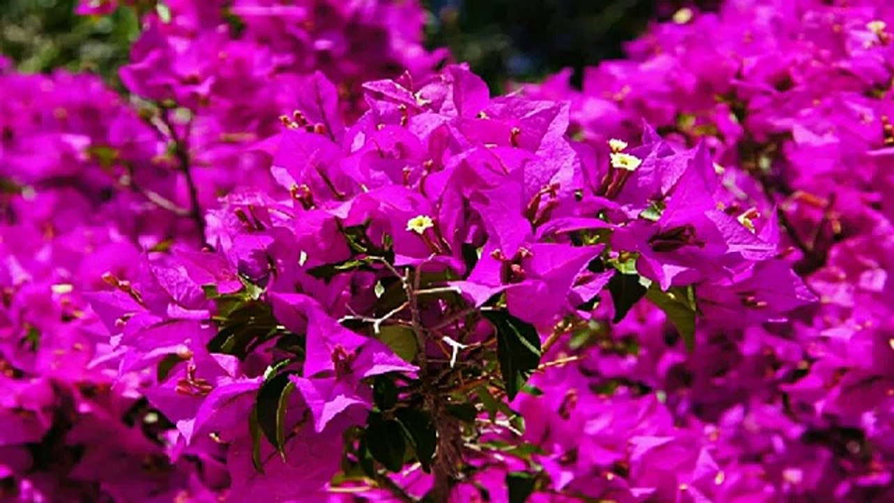 [everysing] 들리나요 Part2(드라마 '베토벤 바이러스' OST)