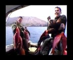 Extreme Freedom Spearfishing White Island