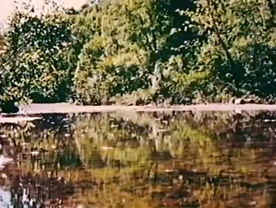 Headwaters  (1966)