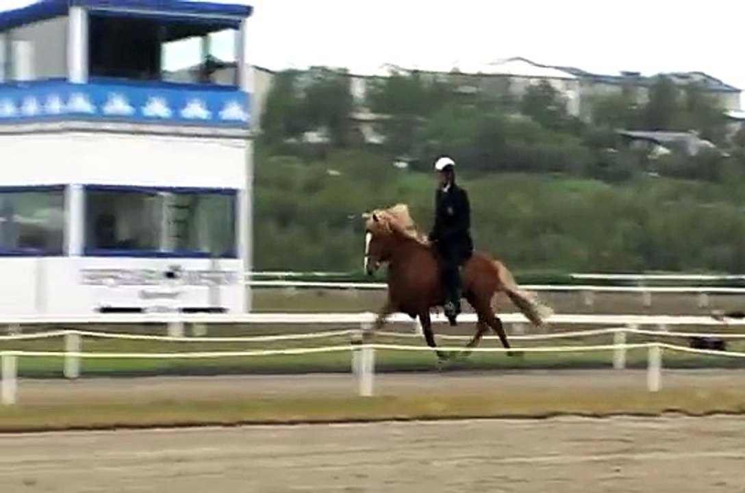 Blær frá Miðsitju