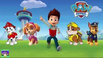 PAW PATROL Finger Family Song For Children | Dady Finger Nursey Rhymes