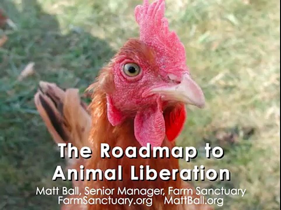 The Roadmap To Animal Liberation v2 Sept 13 2015