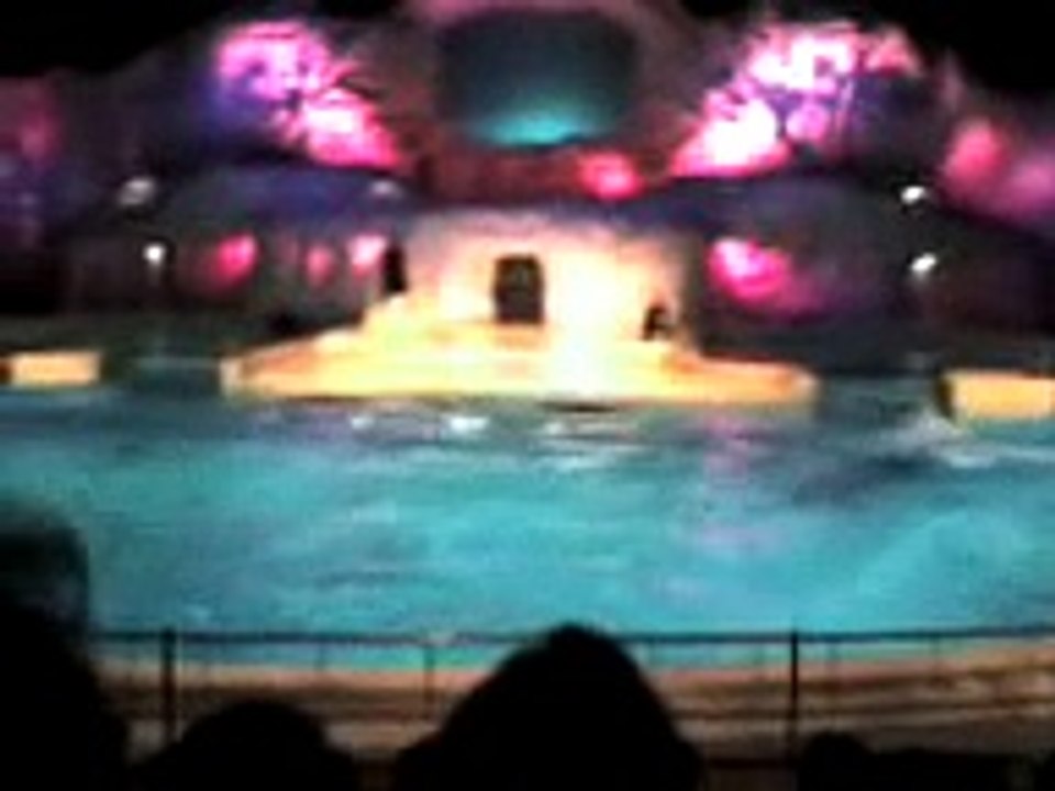 Dolfin Show @ Dolfinarium Harderwijk NL