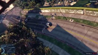 Cinematic Camera - Panto Driving & Police Chase Mayhem - GTA 5 PS4
