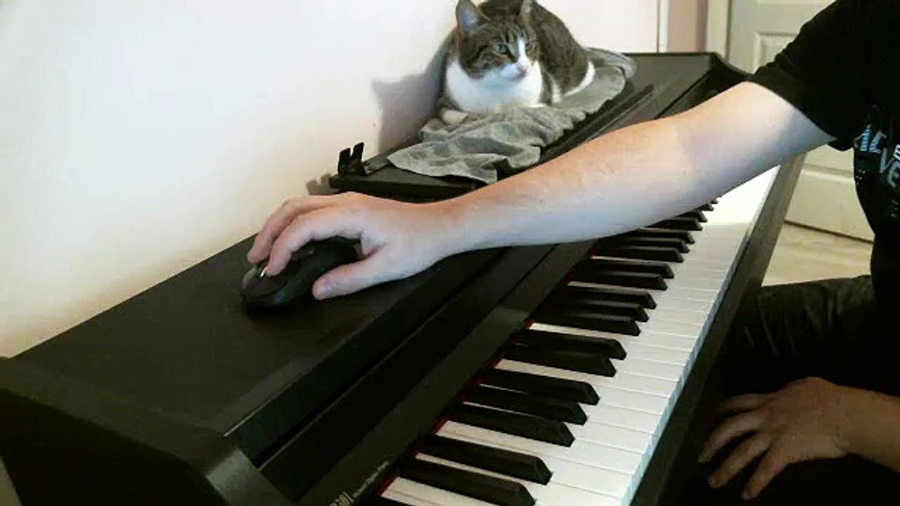 Yann Tiersen: Summer 78 (8vb)