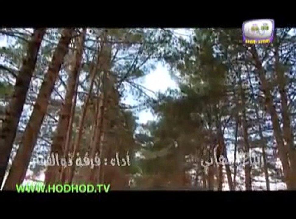 15 ربيع التهاني   هدهد   hodhod tv