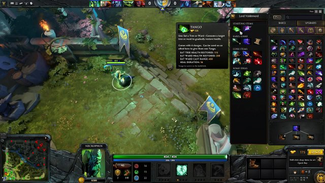 Dota 2 Necrophos ancient jungling guide